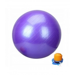 Violetinis gimnastikos kamuolys su pompa 65 cm. L20075