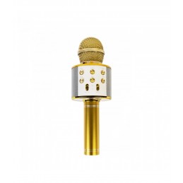 Auksinis karaokė mikrofonas - kolonėlė su balso keitimo efektais WS-858
