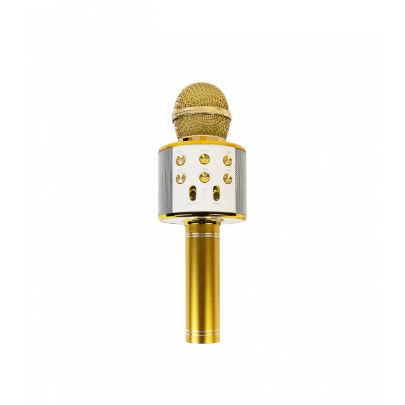 Auksinis karaokė mikrofonas - kolonėlė su balso keitimo efektais WS-858