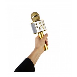 Auksinis karaokė mikrofonas - kolonėlė su balso keitimo efektais WS-858