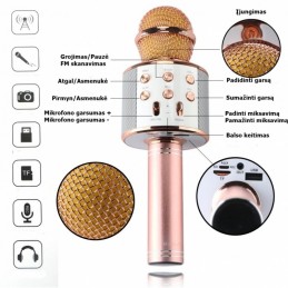 Auksinis karaokė mikrofonas - kolonėlė su balso keitimo efektais WS-858